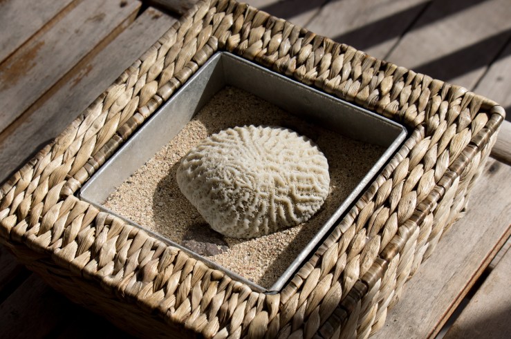 2013 04 26_041440.jpg