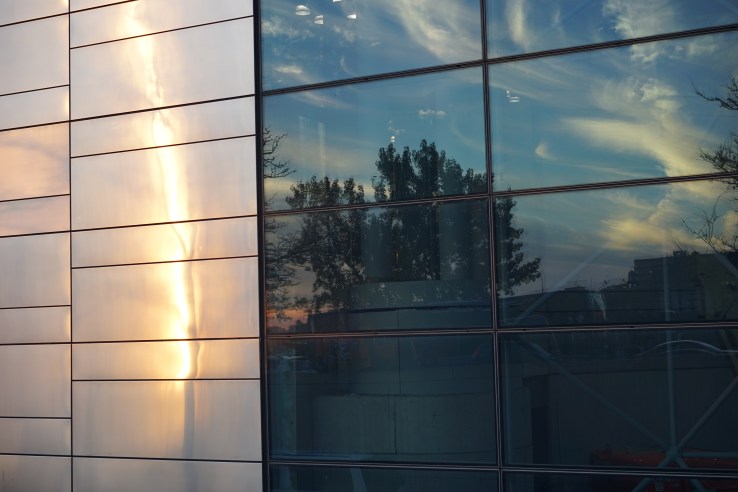 SouthwallJavitsReflection11.14