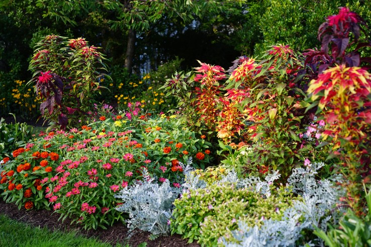 20140825-20140825-dsc00588-2