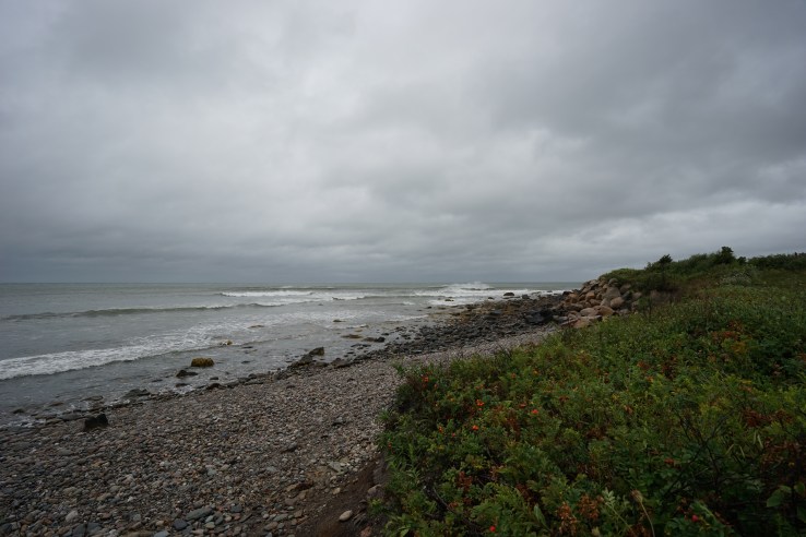 untitled-shoot-00008-2