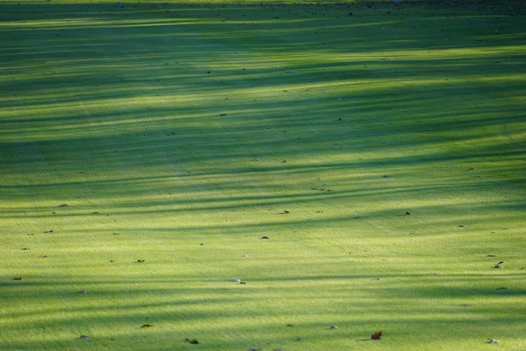 untitled-shoot-00940